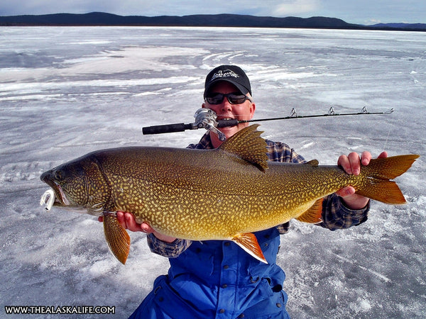 Ice Fishing Interior Alaska - Targeting 'The Big Three' Interior Lakes   The Alaska Life