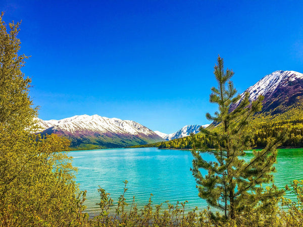 15 Incredible Alaska Lakes That Will Demand Your Attention This Summer