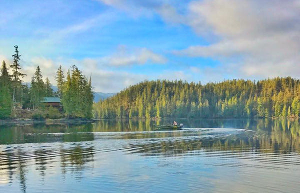 A Day Exploring Prince of Wales Island