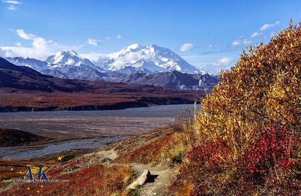 Denali National Park Profile / Things To Do And See