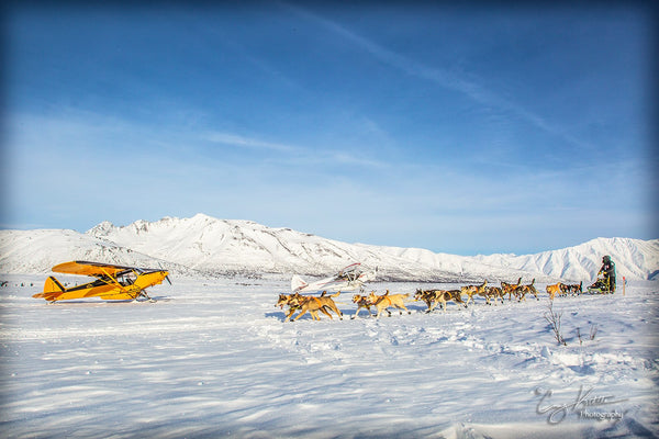 2019 Iditarod Coverage -- Day 10