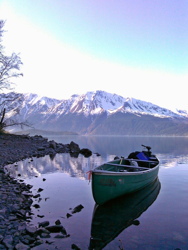 Spring Bear Hunting in Alaska