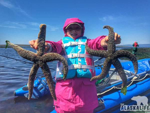 China Poot Bay: Adventures Near Homer Alaska