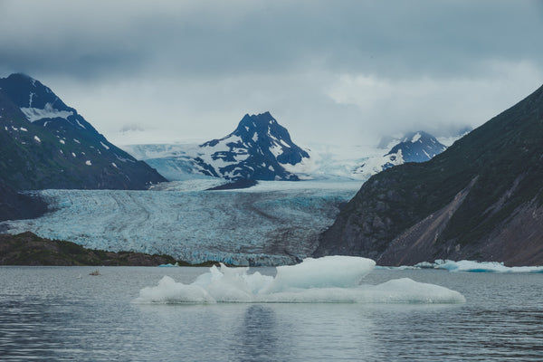 Stunning Views Along The Trail To Grewingk Glacier