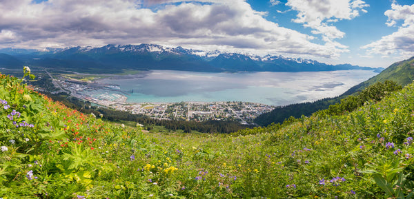 A Quick Trip to Seward to Hike and Enjoy the Amazing Scenery