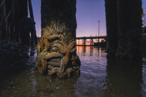 A Homer Photo Tour - One of America's Top Towns