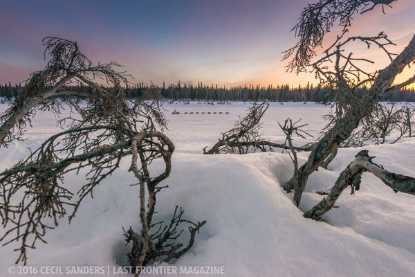 2016 Iditarod: A Yentna River Experience