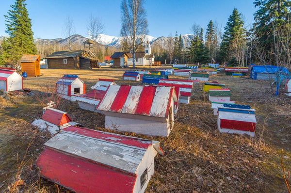 Eklutna Spirit Houses - The Blending of Two Beliefs