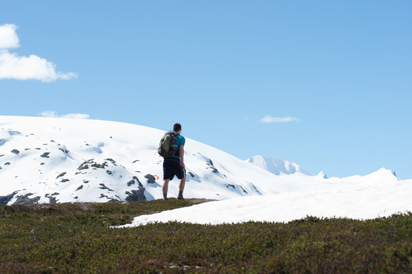 Harding Icefield - A Spectacular Hike With Stunning Views