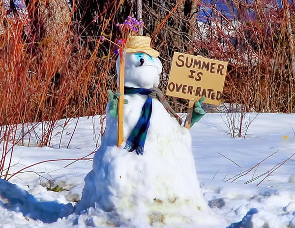 27 Funny Signs That Prove Alaskans Have The Best Sense Of Humor Ever
