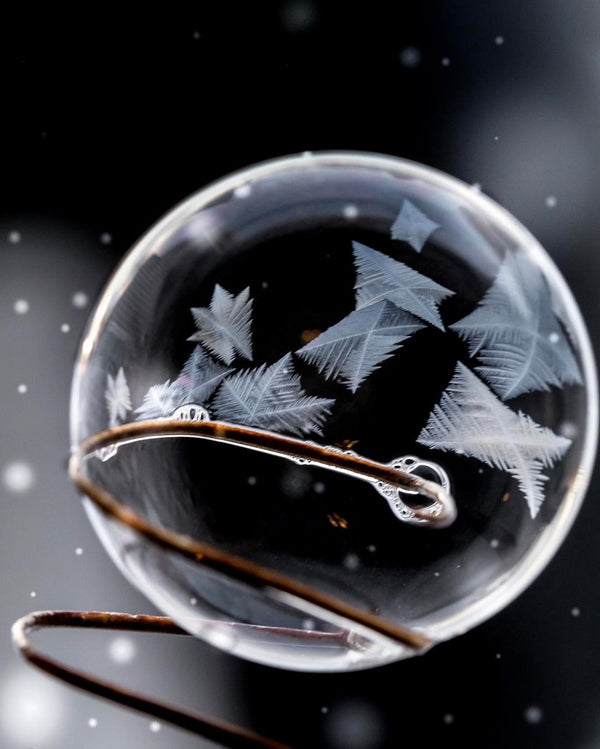 Incredible Alaskan Frozen Bubble Photography!