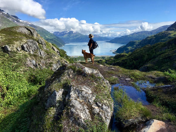 15 Phenomenal Alaska Hikes That'll Make You Crave Summer Like Crazy