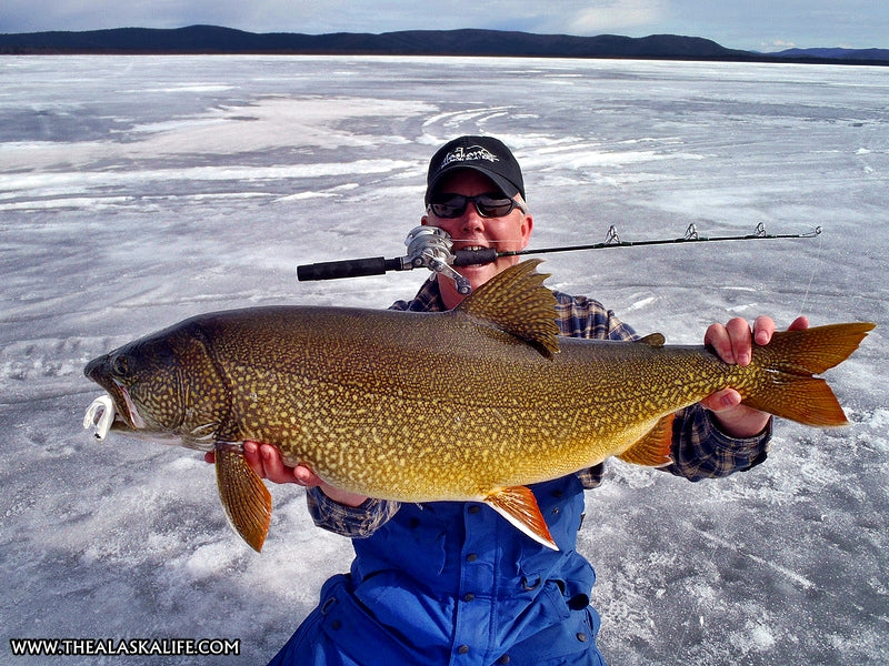 Ice Fishing Interior Alaska - Targeting 'The Big Three' Interior Lakes –  The Alaska Life