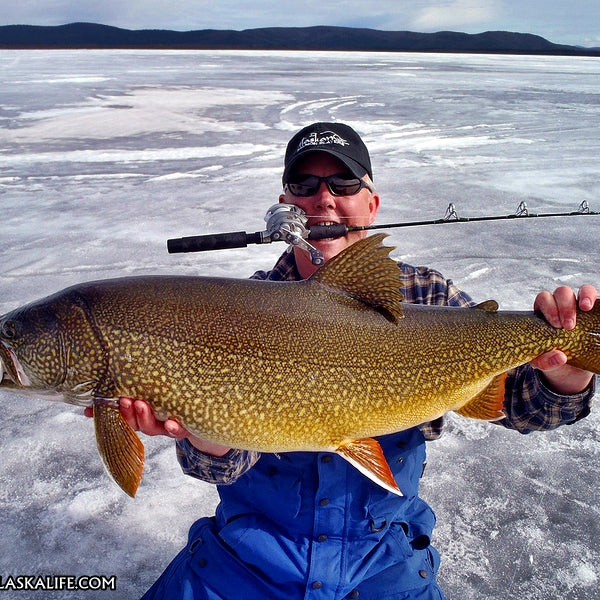 Ice Fishing Interior Alaska - Targeting 'The Big Three' Interior Lakes The Alaska Life Ice Fishing Interior Alaska - Targeting 'The Big Three' Interior Lakes The Alaska Life