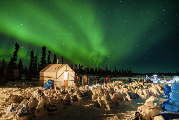 2019 Iditarod Coverage -- Day 5