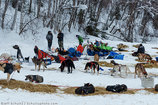 2019 Iditarod Coverage -- Day 7