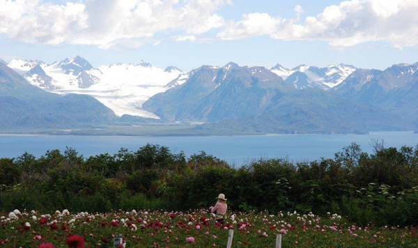 Alaska’s Next Big Cash Crop That You’ve Probably Never Heard Of