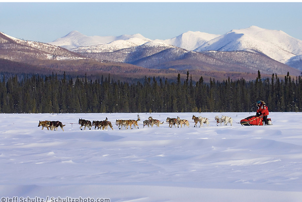 Iditarod 2020 - March 6th 2020
