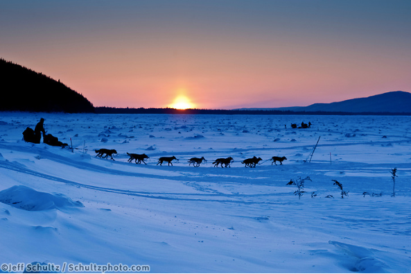 Iditarod 2020 - March 10th