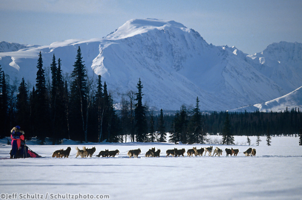 Iditarod 2020 - March 12th