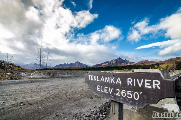 Teklanika River: Your Backstage Pass to Denali National Park and Preserve