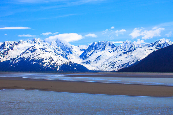 What Should You Know about the Mud Flats?