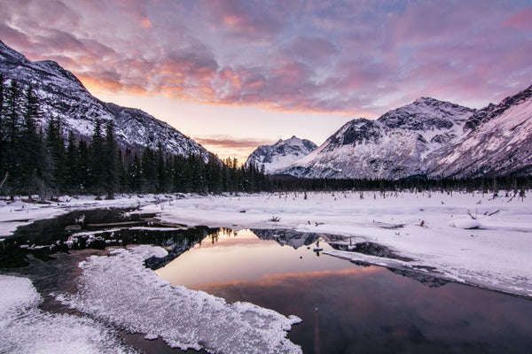 Brent Reynolds - Featured Photographer