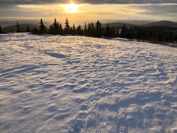 Adventures in the White Mountains: Snowshoeing Wickersham Dome