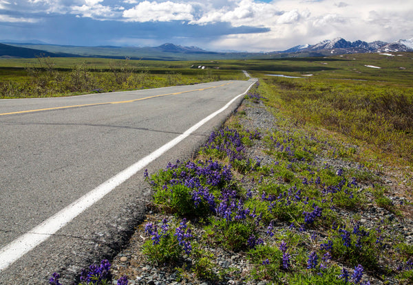 Alaska’s Denali Highway Rated Among Top 10 Greatest Drives In America