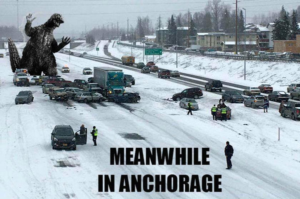 21 Alaska Winter Memes that Hit Close to Home!